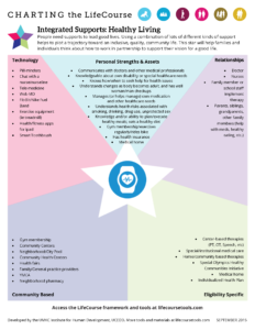 Graphic: Screenshot of Integrated Supports Star, filled in with examples for Healthy Living