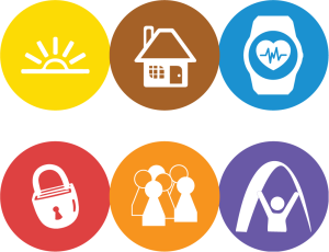 Graphic: The LifeCourse domain icons stacked