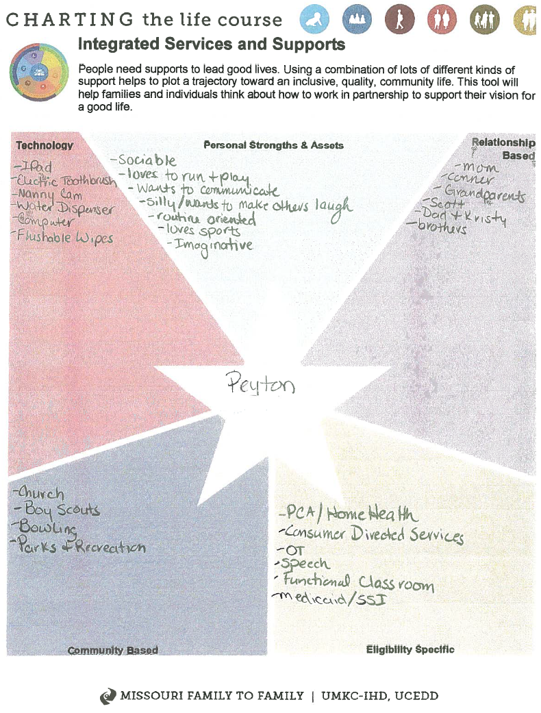 worksheet Life Of A Star Worksheet using lifecourse tools to deal with crisis and plan for transition peytons integrated supports