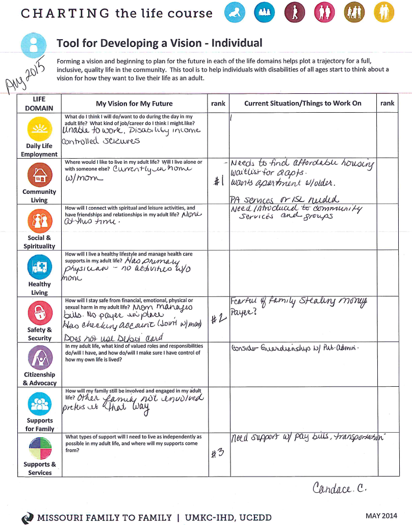 worksheet Life Plan Worksheet using lifecourse tools to deal with crisis and plan for transition the integrated supports star worksheet help an individual who lost her mother get through a situation create a