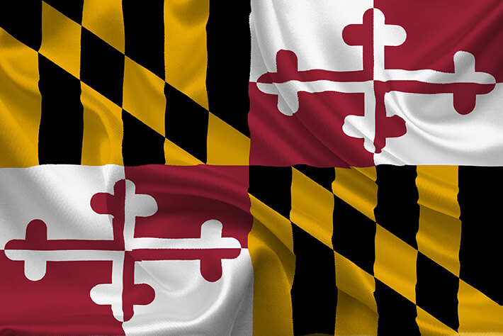 State of Maryland Flag