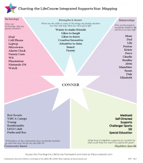 CtLC Framework and Tools - Integrated Supports Star, Family Perspective Example