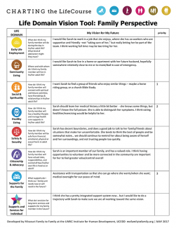 CtLC Framework and Tools - Life Domain Vision Tool, Family Perspective Example