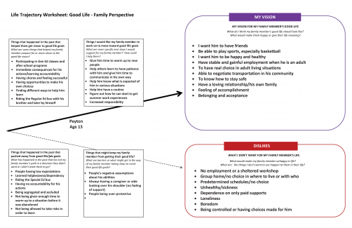 CtLC Framework and Tools - Life Trajectory, Family Perspective Example